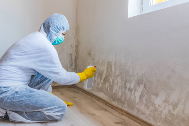 Licensed Mold Removal service in Fulton, TX - WQB Mold Removal